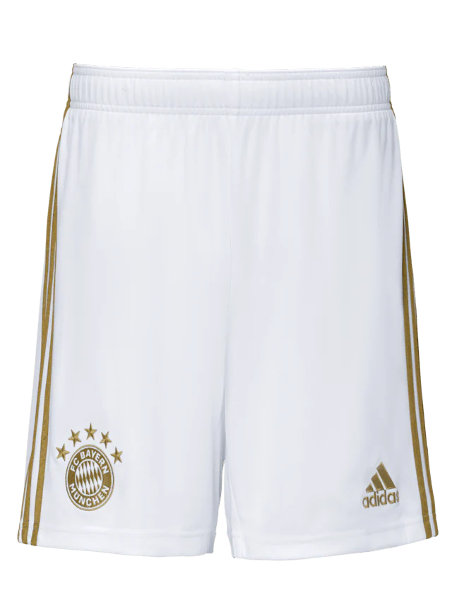 Bayern Munich Away Jersey 22/23