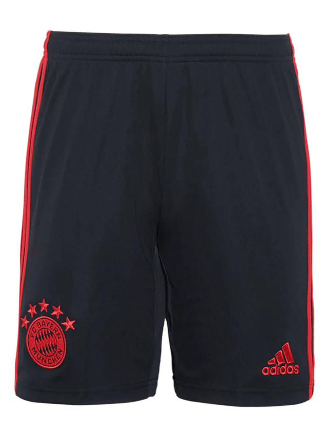 Bayern Munich Third Jersey 22/23
