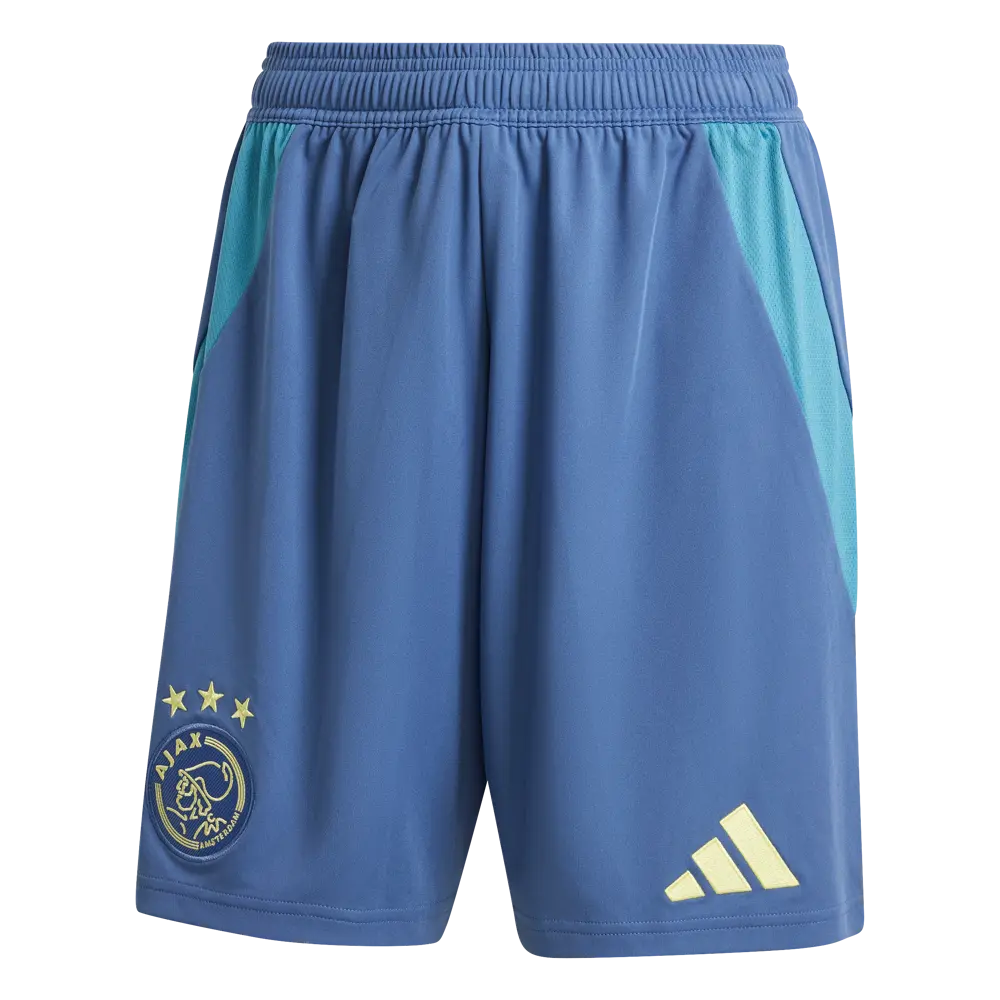Ajax Away Jersey 24/25