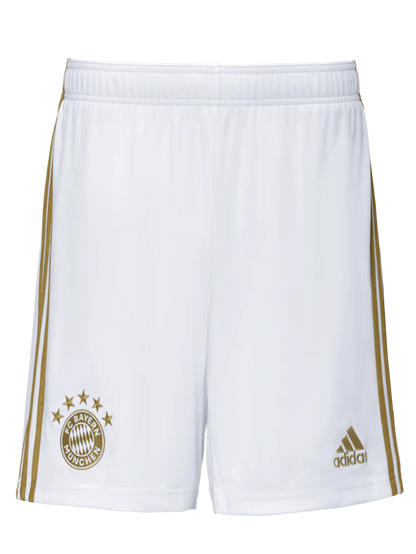 Bayern Munich Away Jersey 22/23