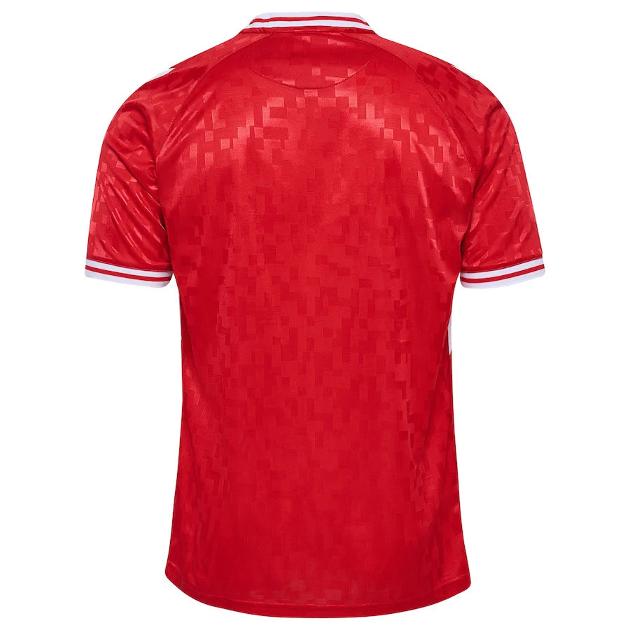 Denmark Home Jersey 24/25